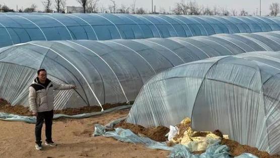 红薯育苗春来早 田间地头忙增收