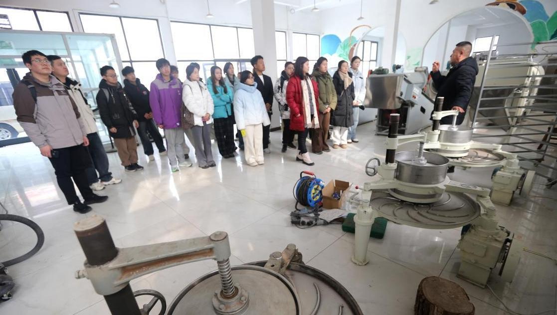 【职引未来】广搭平台 精培技能 力促青年就业创业