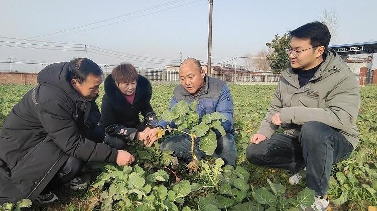 洋县聚丰园农机合作社为群众增收赋能