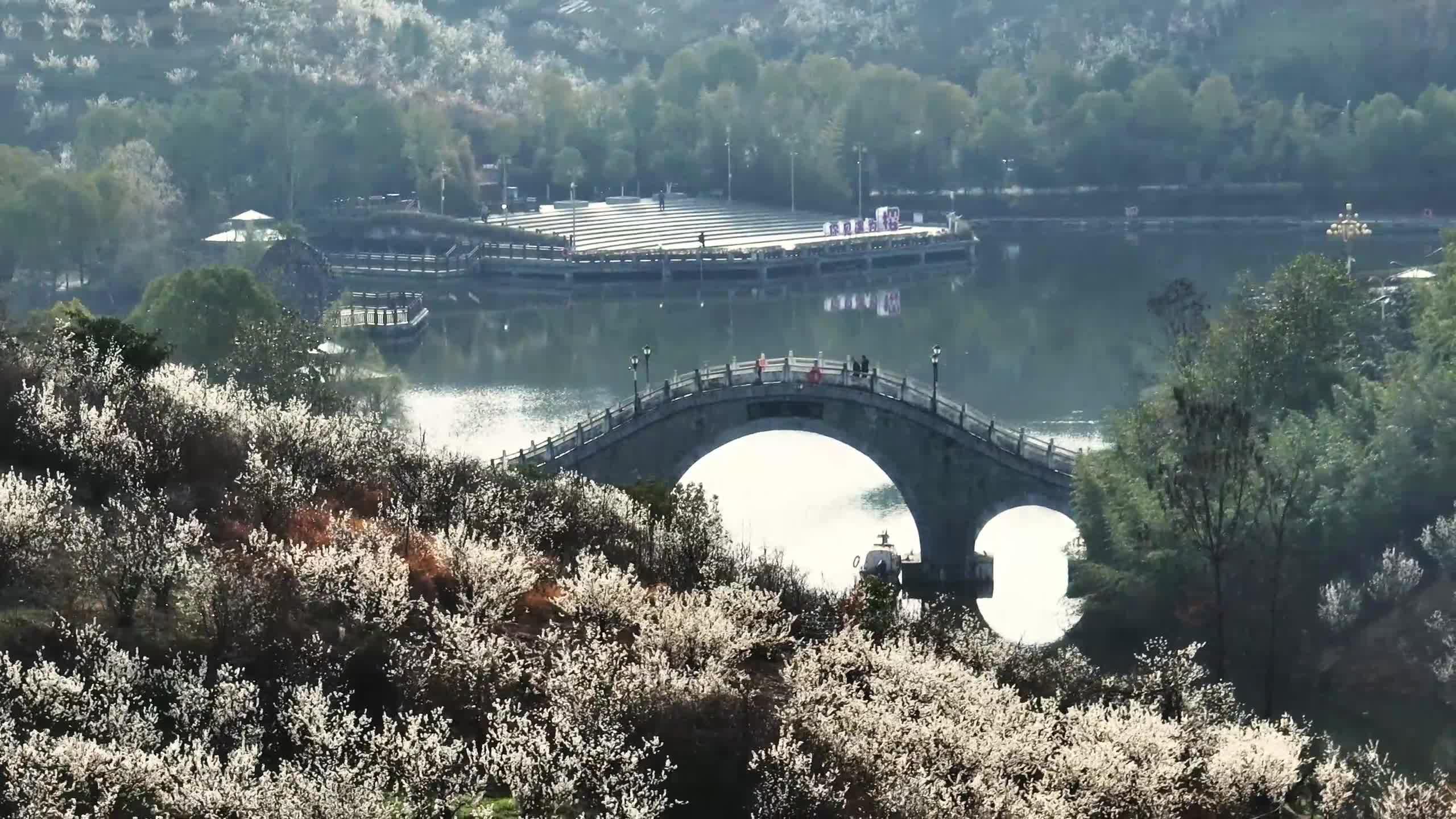 樱桃花开漫香雪 茶乡大地处处春