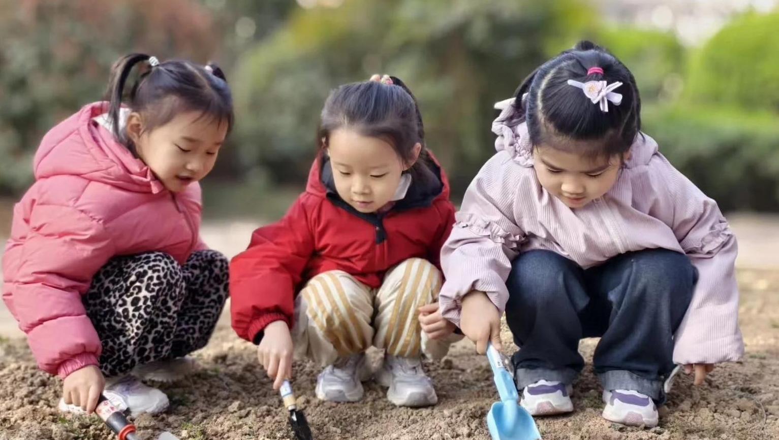 西安国际陆港第二幼儿园：植绿之旅播撒童心与希望