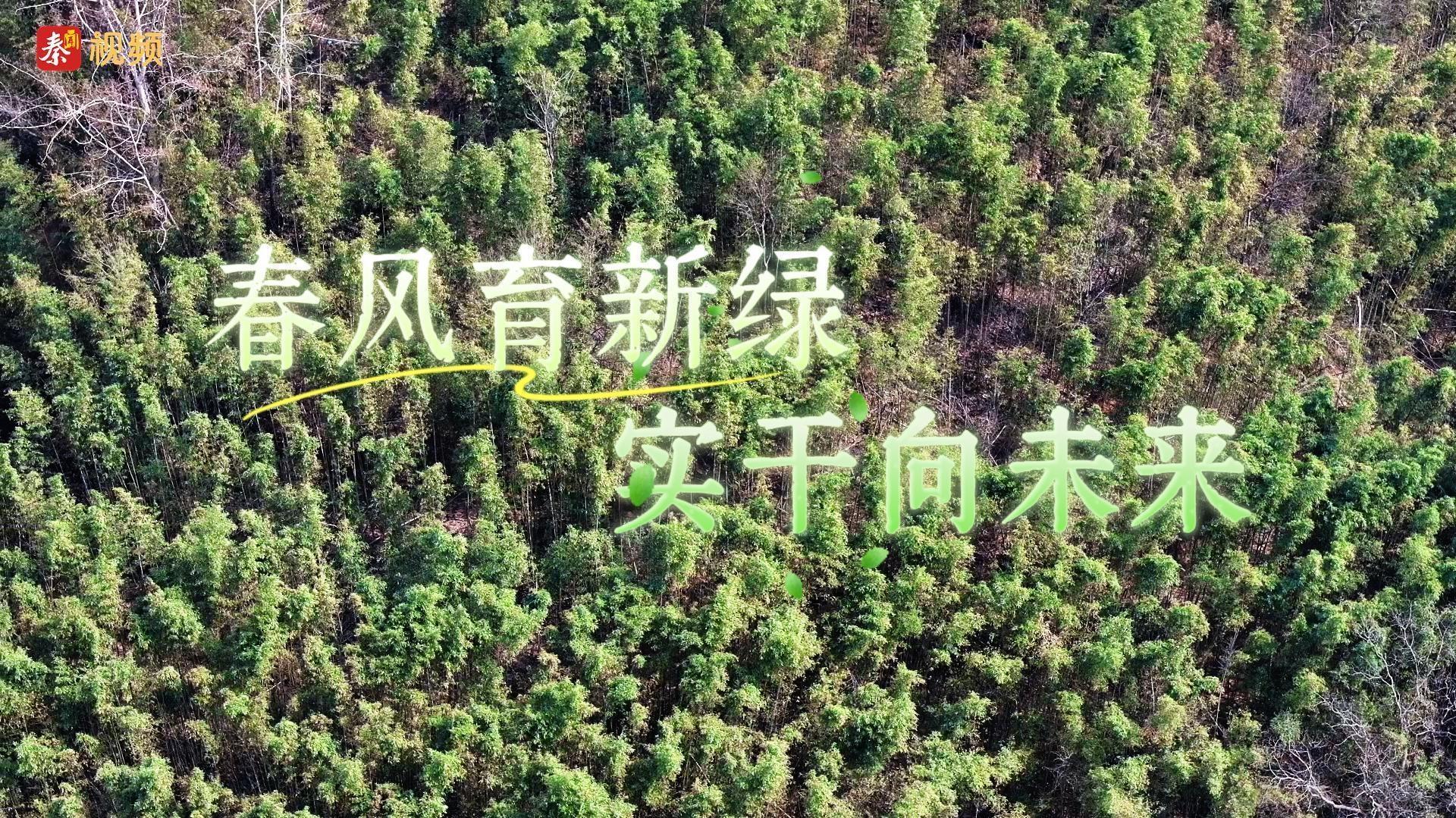 春风育新绿 实干向未来