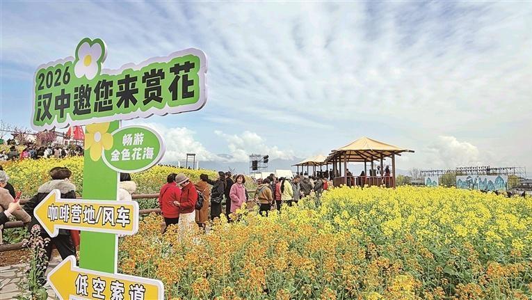 秦巴腹地“披金装”