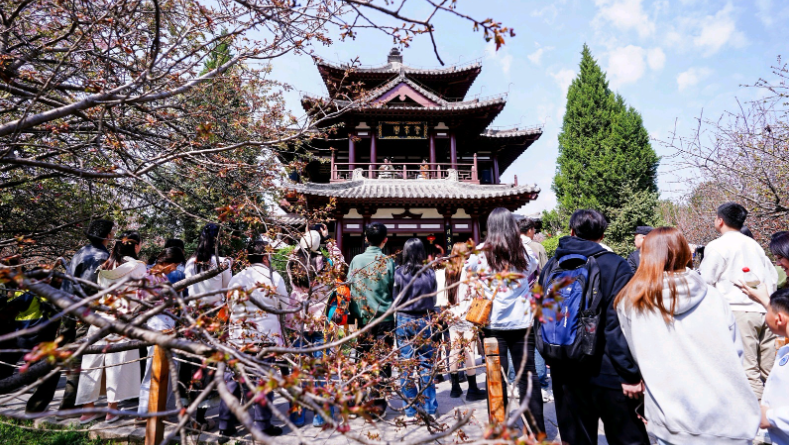 青龙寺遗址景区樱花季系列活动精彩启幕