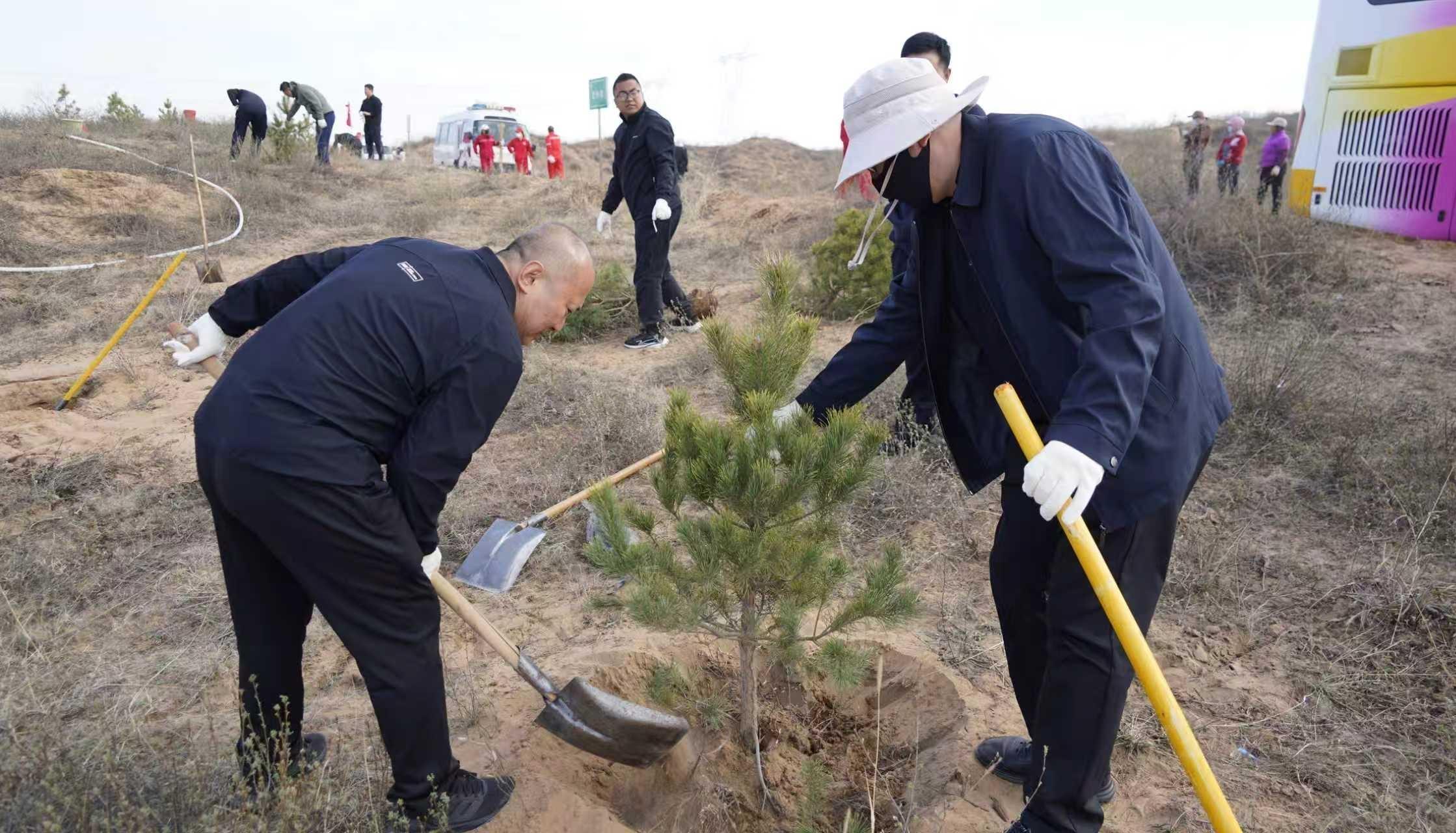 春风十里，不如植树有你！靖边县委宣传部主题党日添新绿