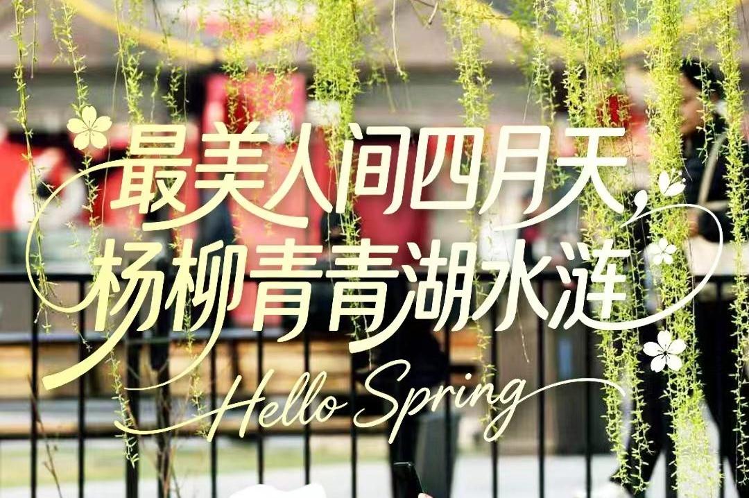 封面丨最美人间四月天，杨柳青青湖水涟