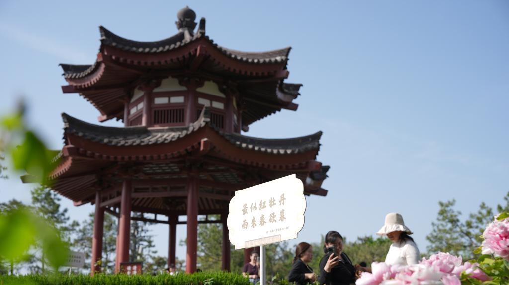 古城西安打造“唐诗之都”