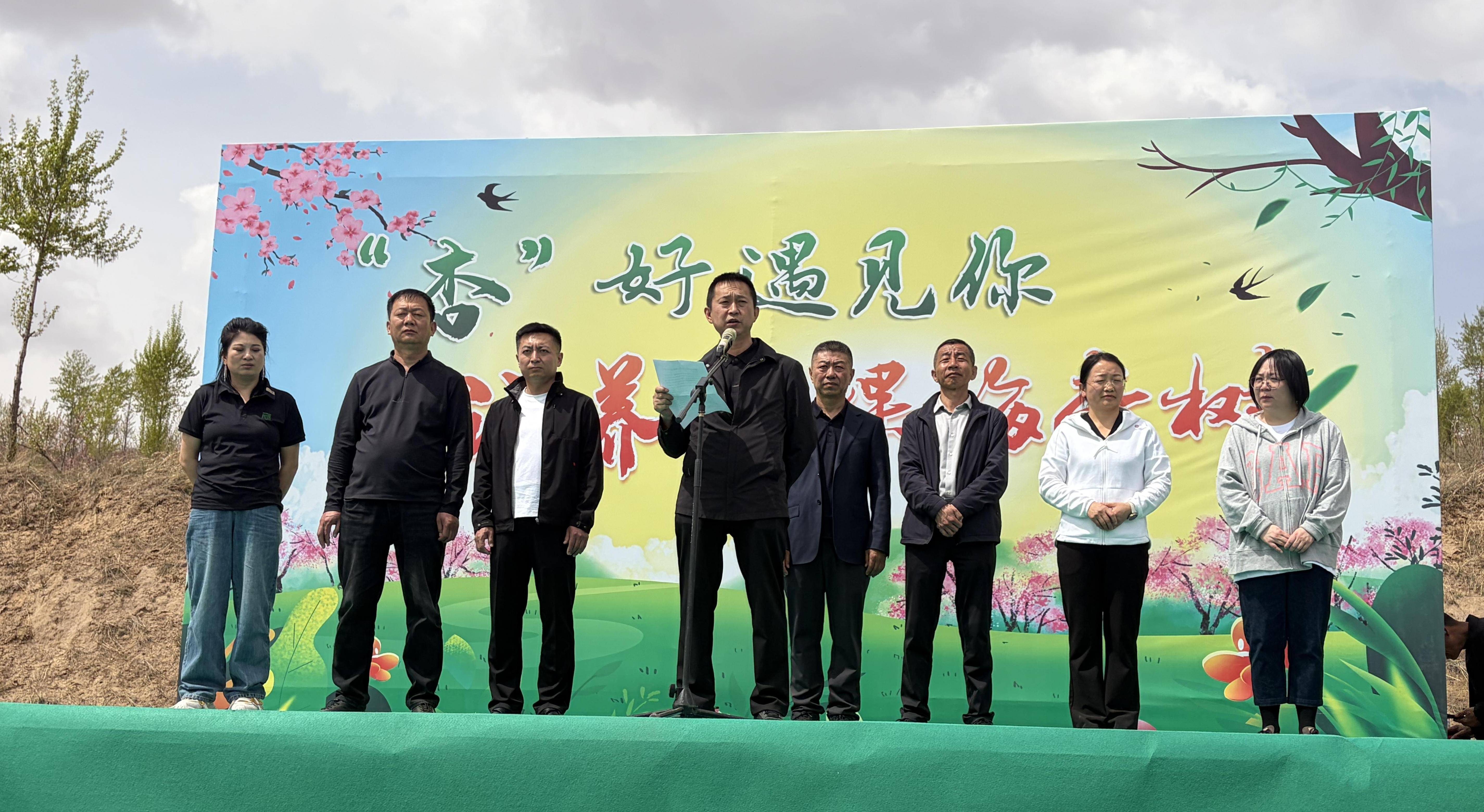 在王贵与李香香的故乡，认养一棵属于自己的梅杏树