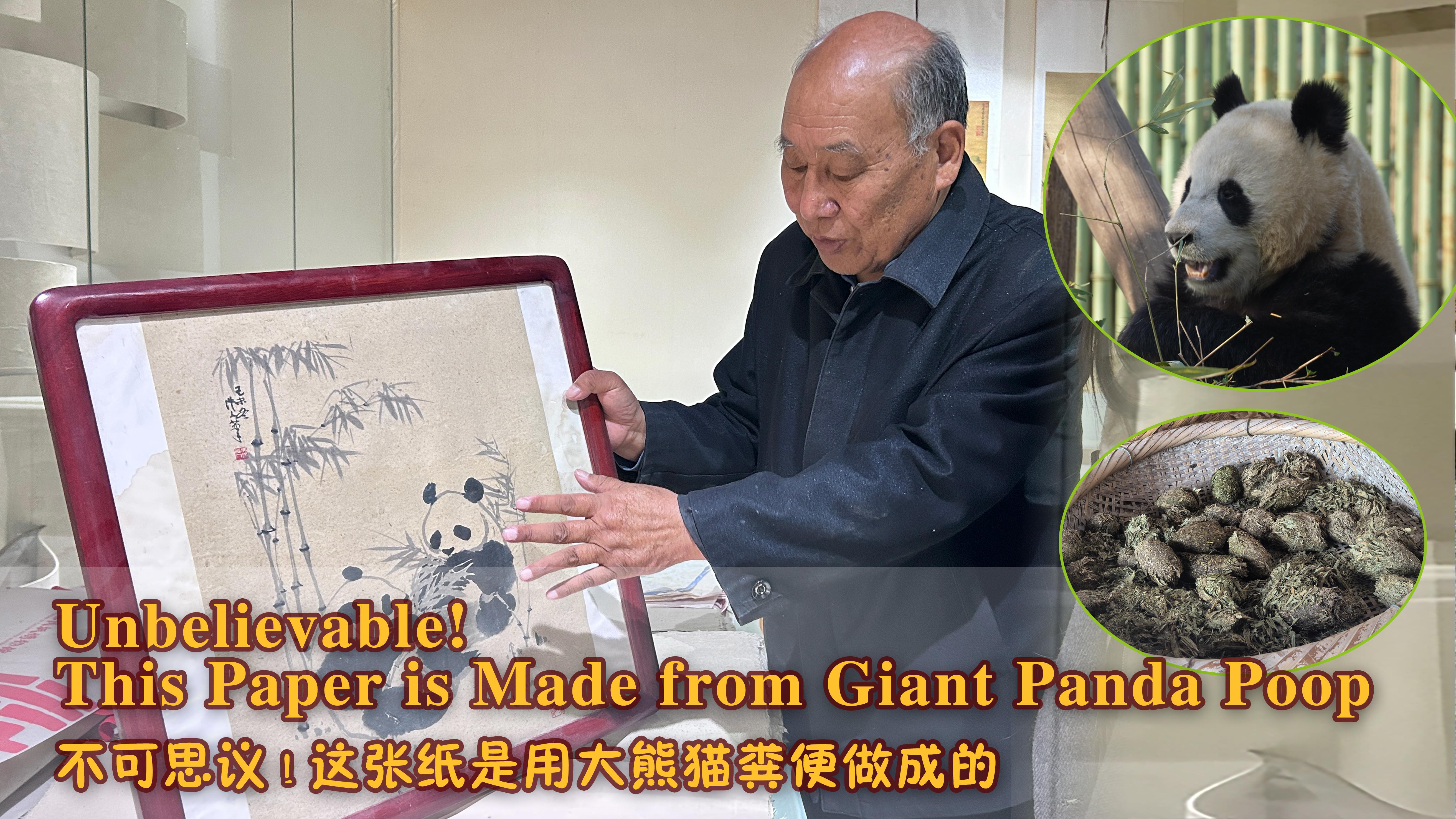 Unbelievable! This Paper is Made from Giant Panda Poop 不可思议！这张纸是用大熊猫粪便做成的