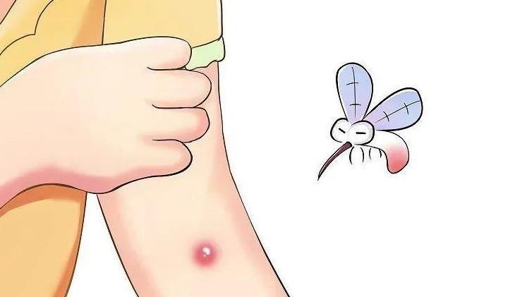 蚊子藏隐患？乙脑怎么防？这套“防护攻略”快收好 | 科普时间