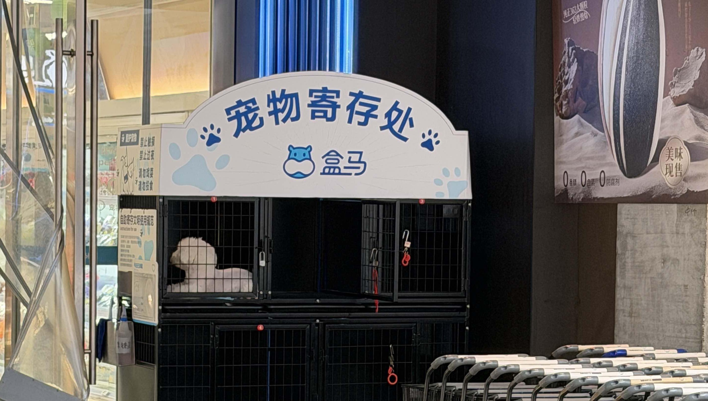 宠物寄存柜暖心上线 西安商圈宠物友好服务再升级