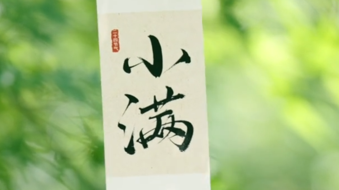 小满｜小得盈满，便是圆满