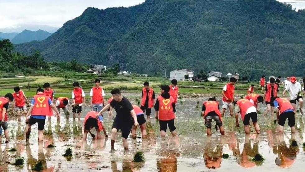 沉浸式劳动实践 让思政教育扎根乡土田野
