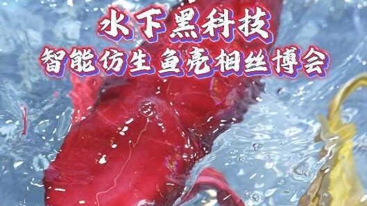 “馆”见精彩 “丝”遇中国 | 水下黑科技 智能仿生鱼亮相丝博会