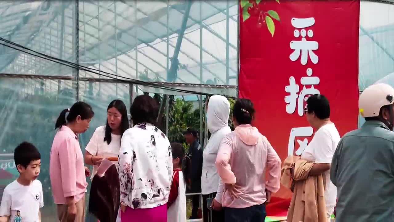 华阴：老腔新调 上“樱”开跑 跑出乡村振兴加速度