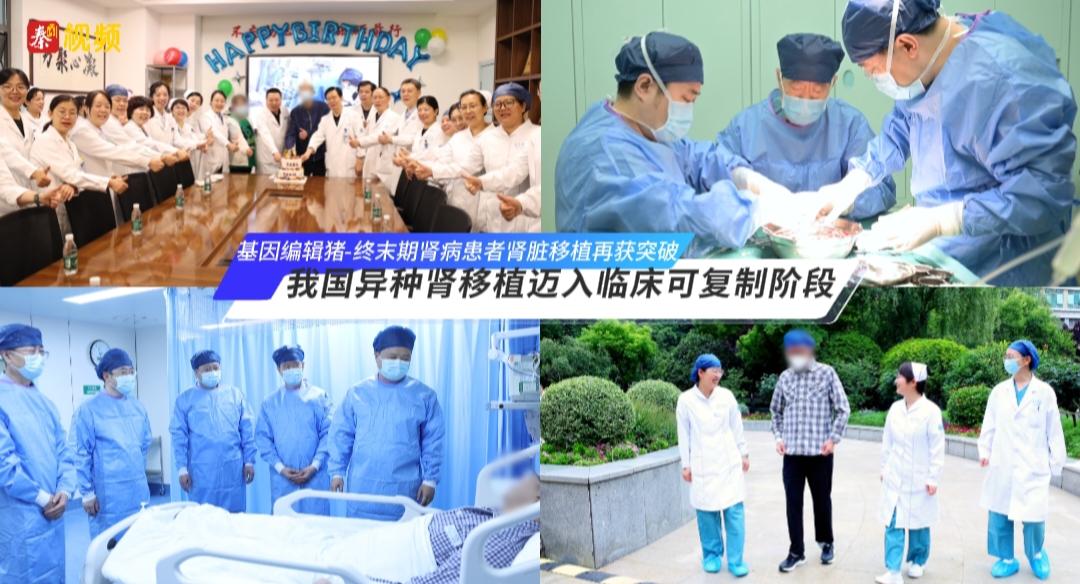 我国异种肾移植迈入临床可复制阶段