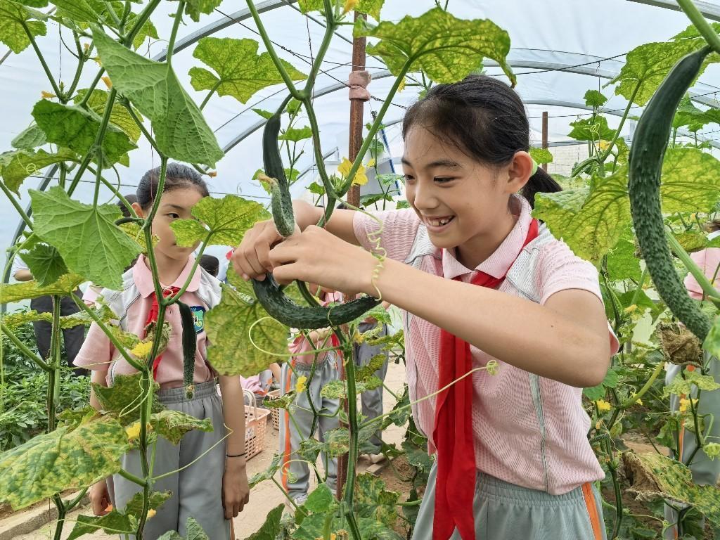 锅碗瓢盆奏响“六一”乐章，田间灶头飘出饭菜香