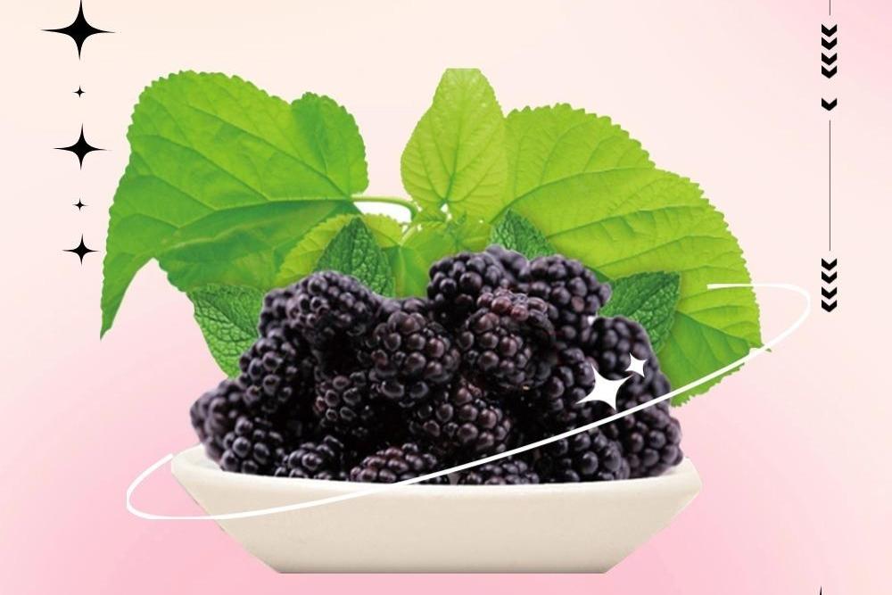 长图丨关于桑葚的食品安全消费提示