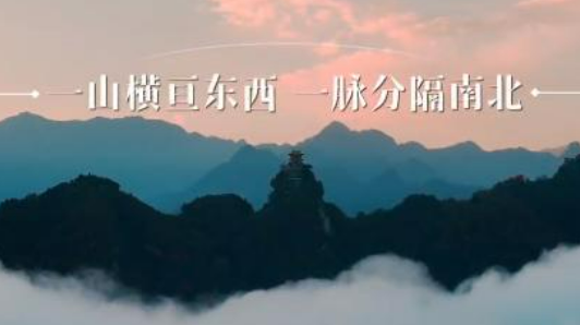 【短视频】赴秦岭之约 阅生态答卷