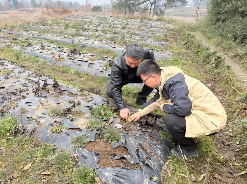 工商银行陕西省分行：输送金融“养料” 润泽三秦春耕