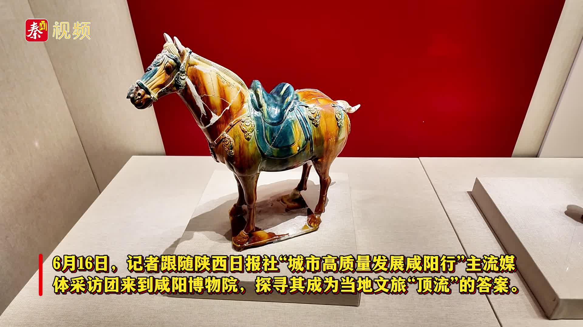 来！解锁咸阳博物院“新玩法”丨陕西日报社“城市高质量发展咸阳行”主题采访活动