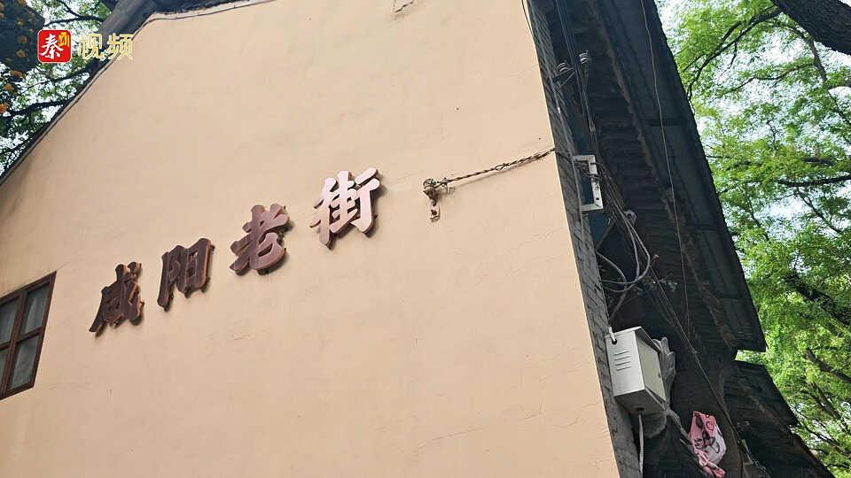 来咸阳老街当一回《主角》丨陕西日报社“城市高质量发展咸阳行”主题采访活动
