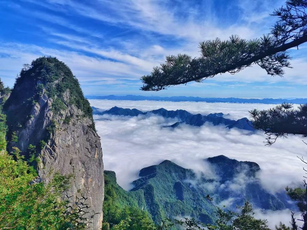 西十高铁赋能！“秦岭秘境”迈入康养度假新时代——“美好中国行”走进商洛天竺山见闻