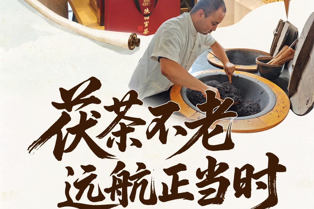 陕西日报社“城市高质量发展咸阳行”全媒体行动调研采访活动⑬茯茶不老 远航正当时