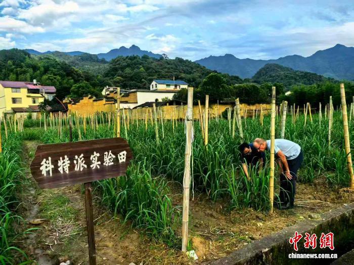 在骑行中认识中国：“洋特派员”赞叹中国的“甜蜜奇迹”丨世界观