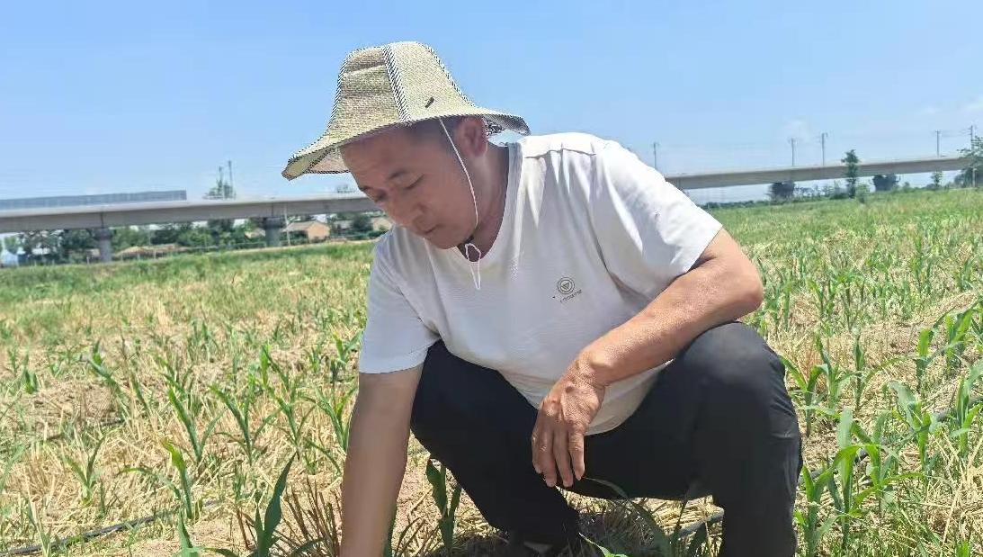 奖状捧在手 汗水洒田间