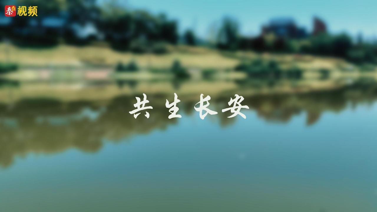 微纪录片 | 共生长安