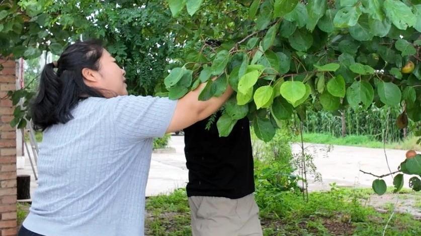 连续三年！旬邑这个村的美食节把乡土味做成了“流量密码”