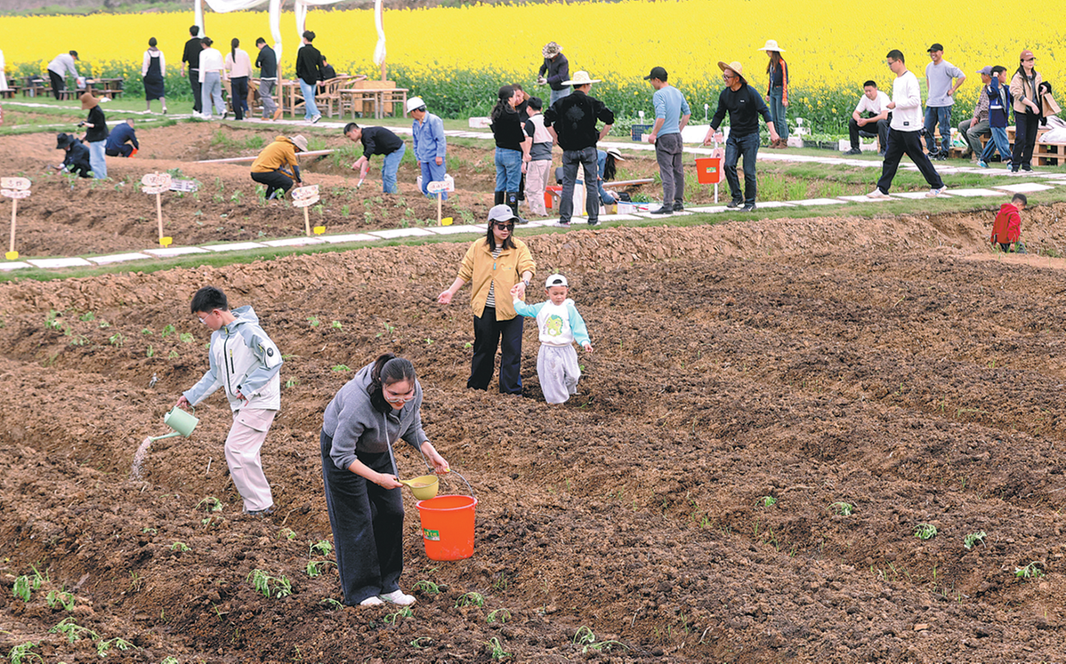 Shared farms flourish as tranquil retreats