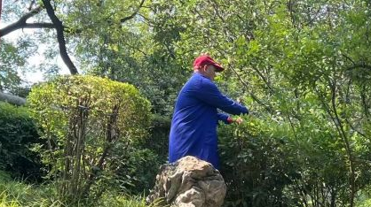 用“大白话”讲安全，为一线绿化工人送上“护身符”