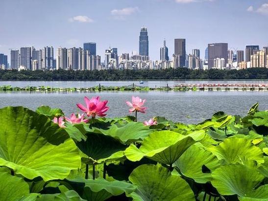 Building on green gains, roadmap charts next five years for a Beautiful China