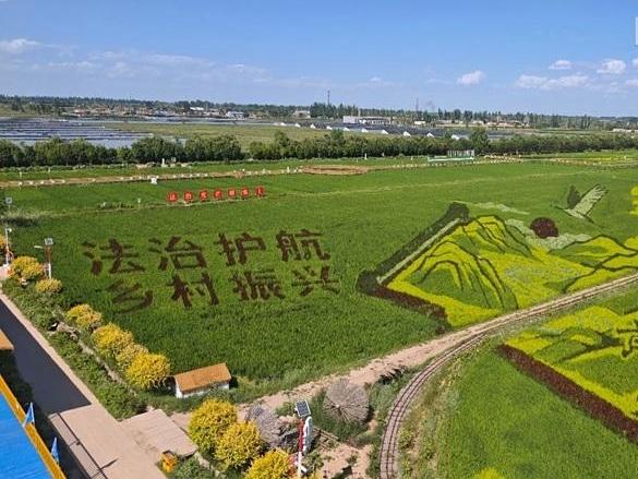 【E法同行 法润塞上】银川这波普法太圈粉！田间有风景，家门口有正义！