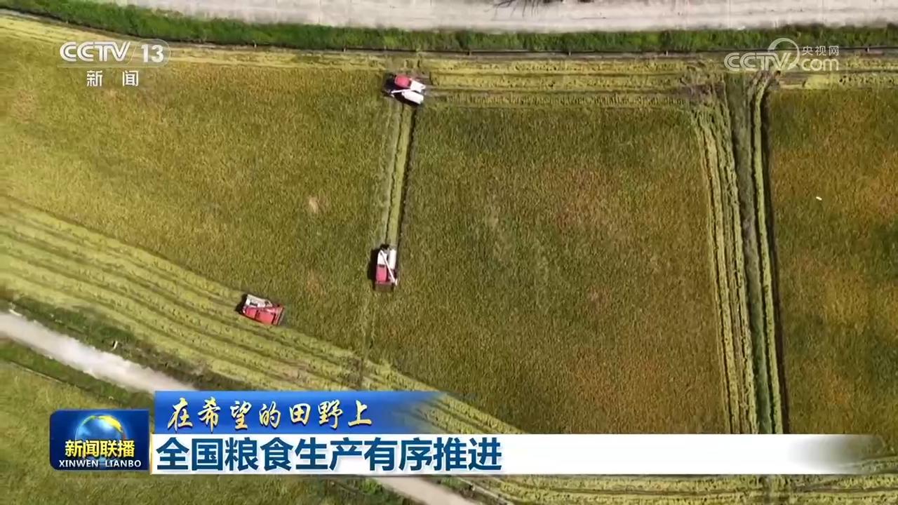 【在希望的田野上】全国粮食生产有序推进
