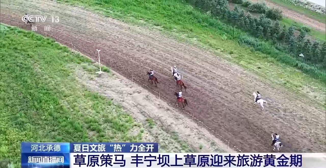 视频丨草原策马、民俗体验?各地奉上“夏日限定”文旅大餐