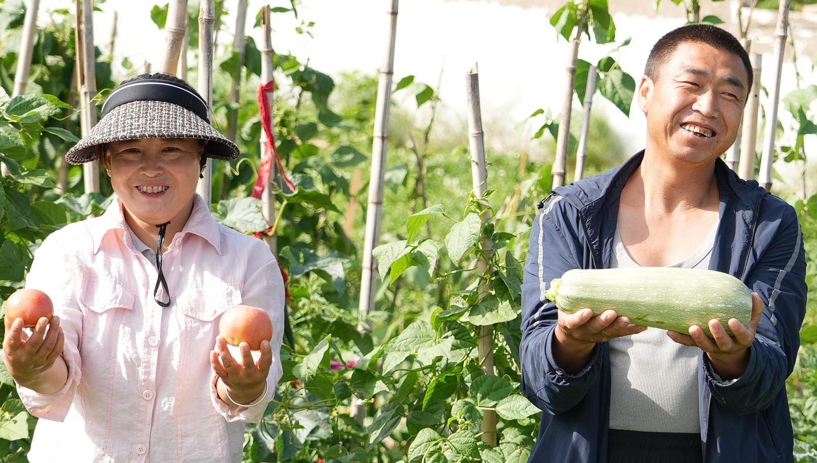 靖边这个社区共享菜园破解易地搬迁治理难题