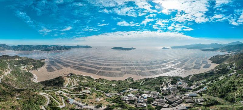 开局之年看中国丨浙江苍南：一杆激起三重浪