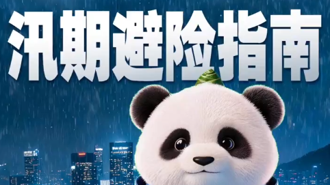 汛期暴雨多发！出门、开车、居家这些避险指南请收好