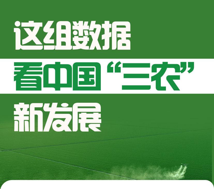 这组数据，看中国“三农”新发展