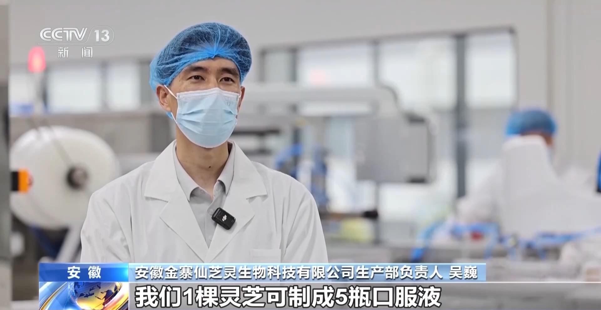 视频丨一朵灵芝“长”成大产业 乡村特色产业全链提质升级