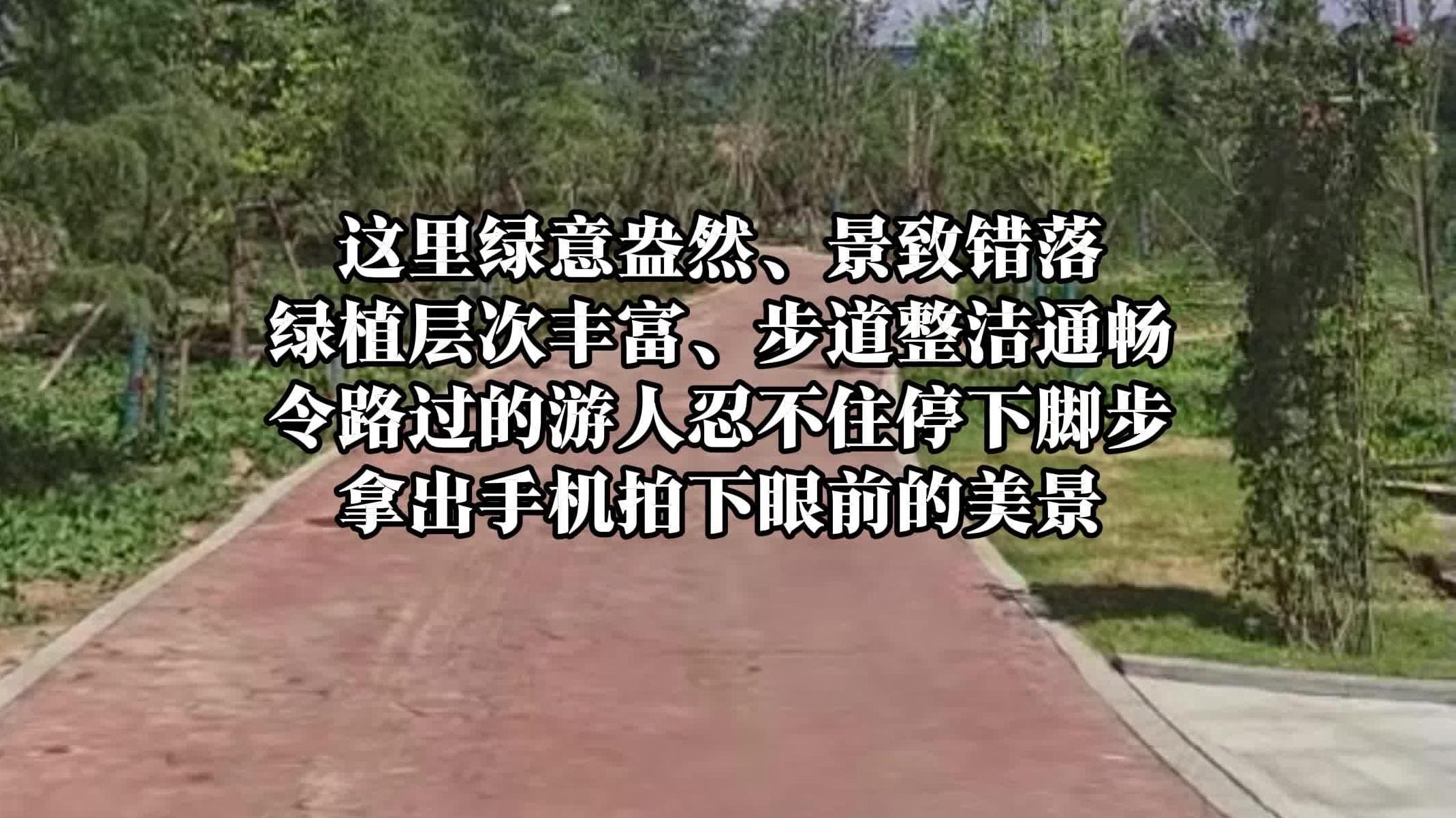 走进这处绿岛公园 探访生态治理 绘出绿意画卷|陕西日报社“相约渭南 精彩省运”全媒体行动调研采访活动