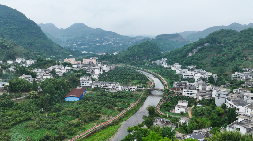 长江十年行｜赤水河畔绿意浓：一江清水见证十年蝶变