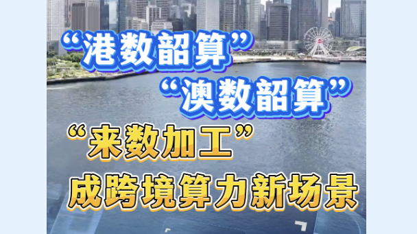 勇立潮头大湾区丨“来数加工”成跨境算力新场景