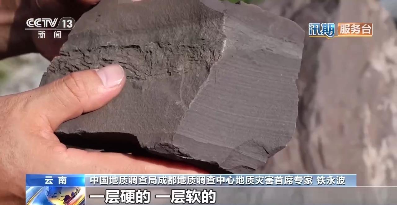 视频丨量“大山体温”、看“年轮日记” 防汛减灾新科技→