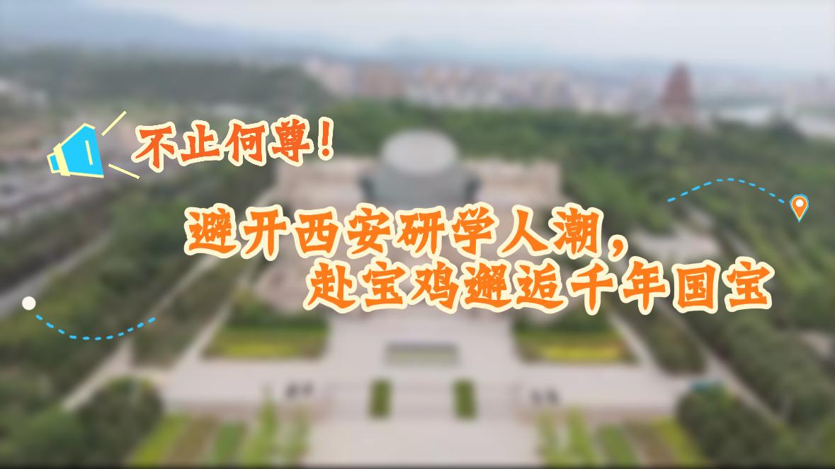不止何尊!避开西安研学人潮,赴宝鸡邂逅千年国宝