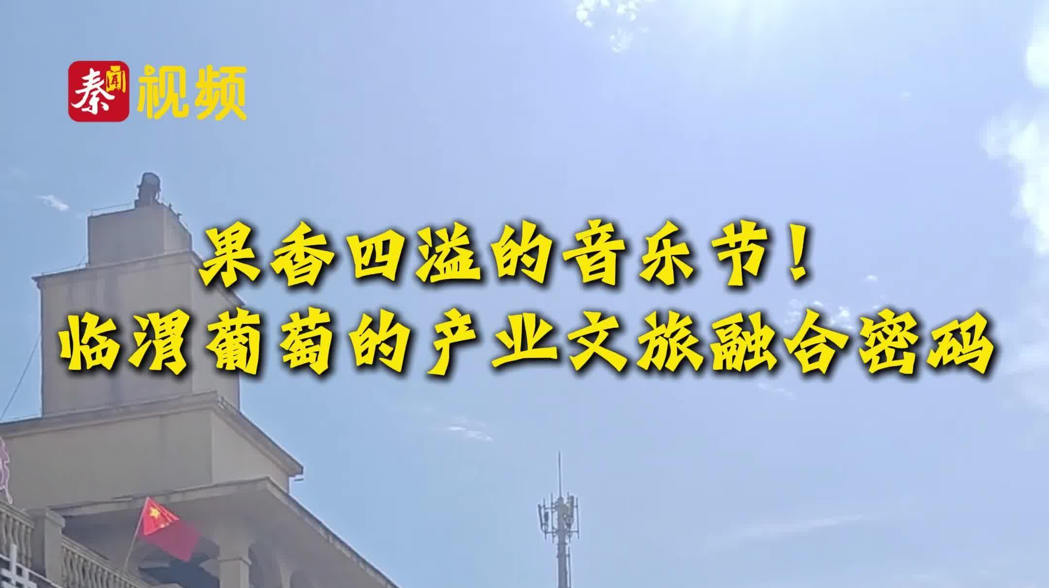 果香四溢的音乐节!临渭葡萄的产业文旅融合密码|陕西日报社“相约渭南 精彩省运”全媒体行动调研采访活动