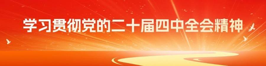 专题丨学习贯彻党的二十届四中全会精神